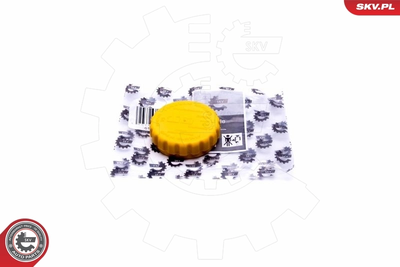 Cap, coolant tank